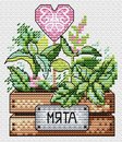 Мята